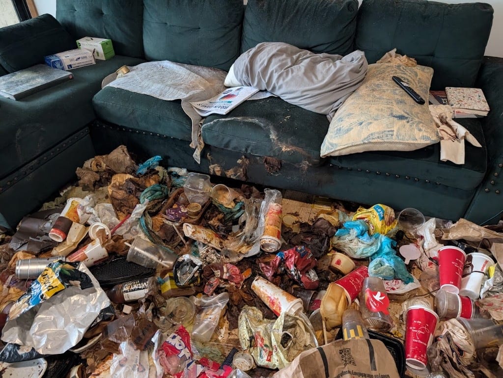 Professional hoarding and clutter cleanup team providing compassionate service